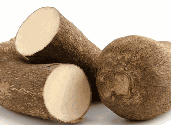 Fresh yam tubers, two cut open showing creamy white interior
